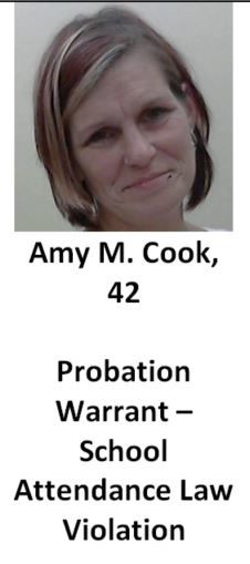 Amy Cook